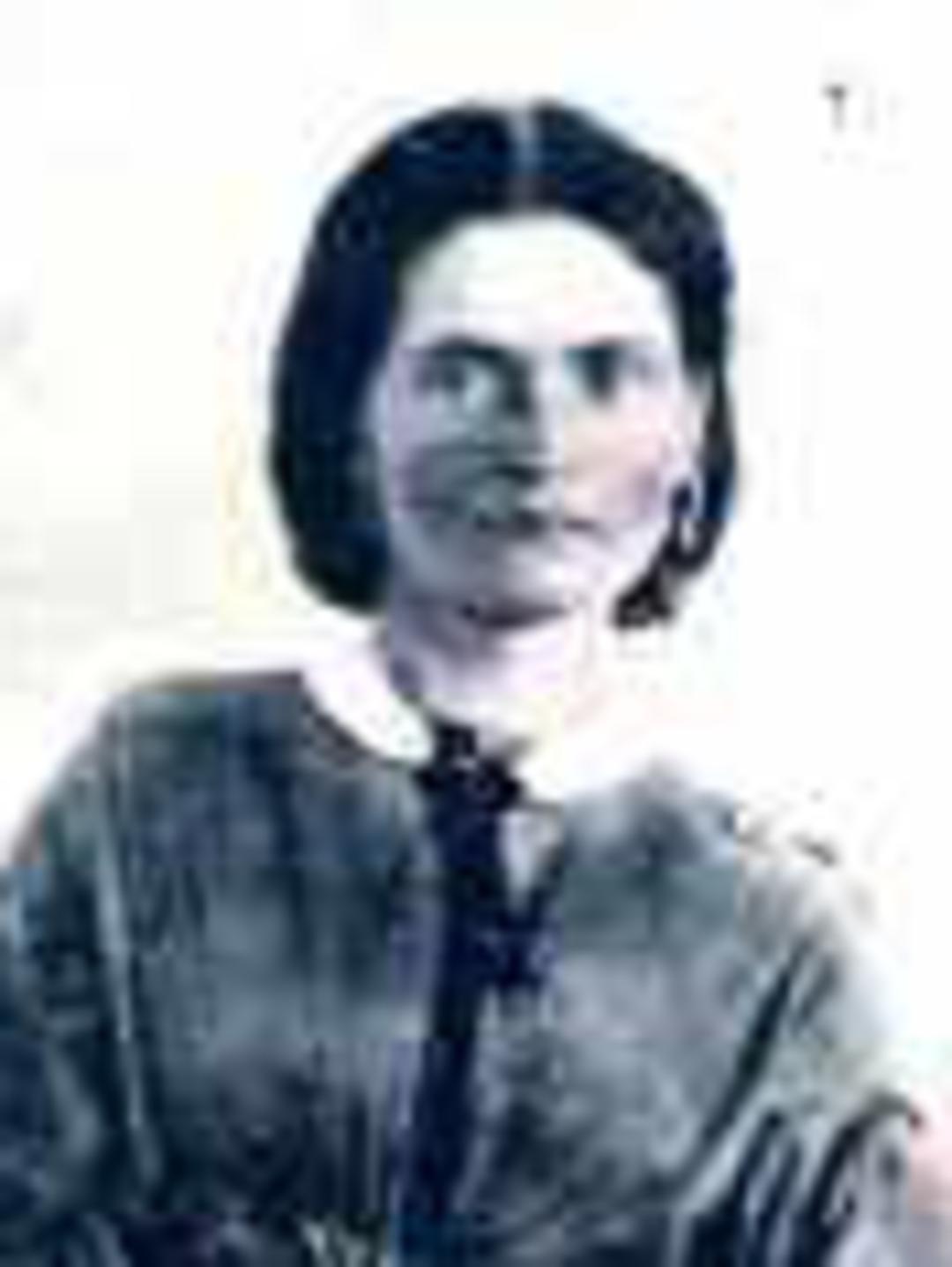 Fedelia Reed (1819 - 1894) Profile